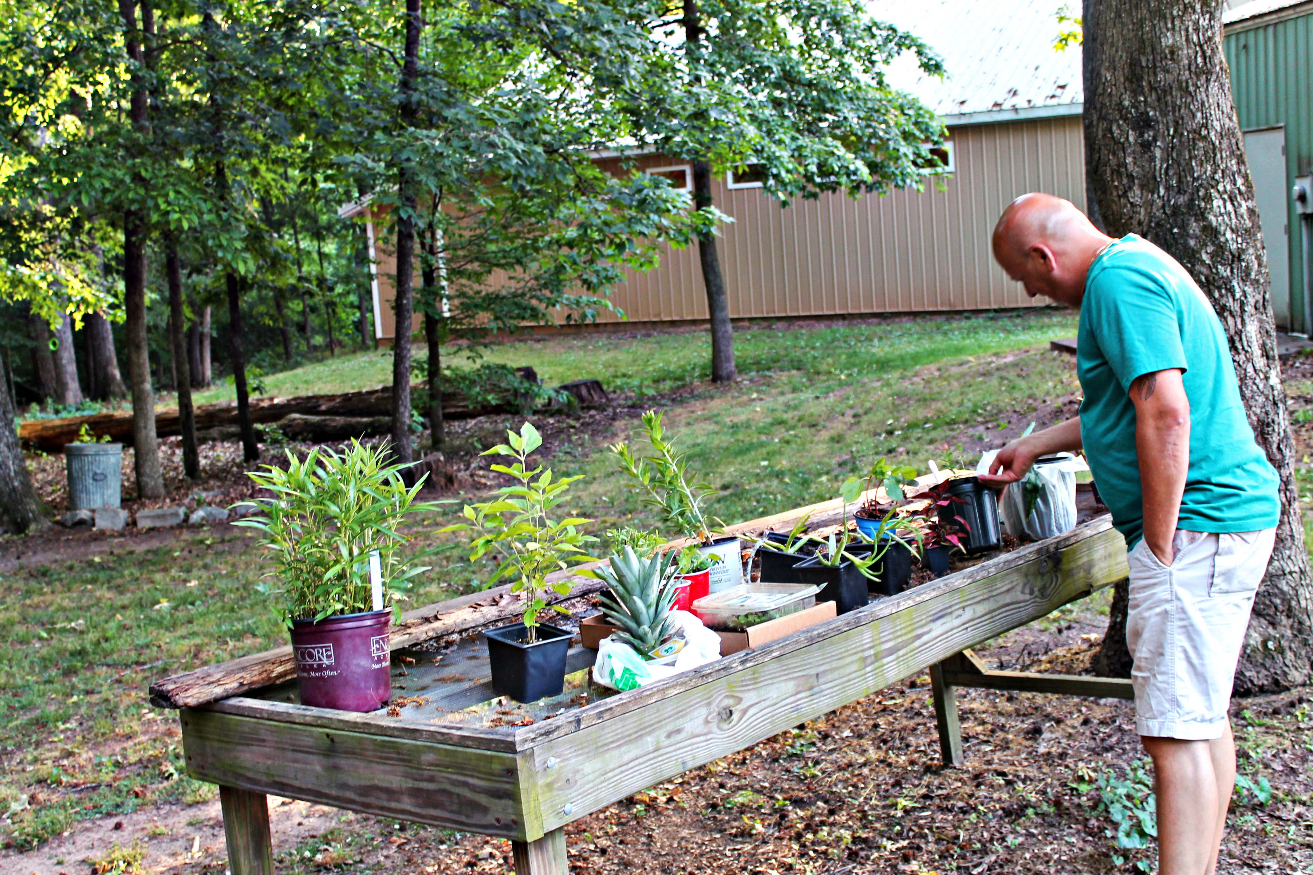 Plant Sharing Table